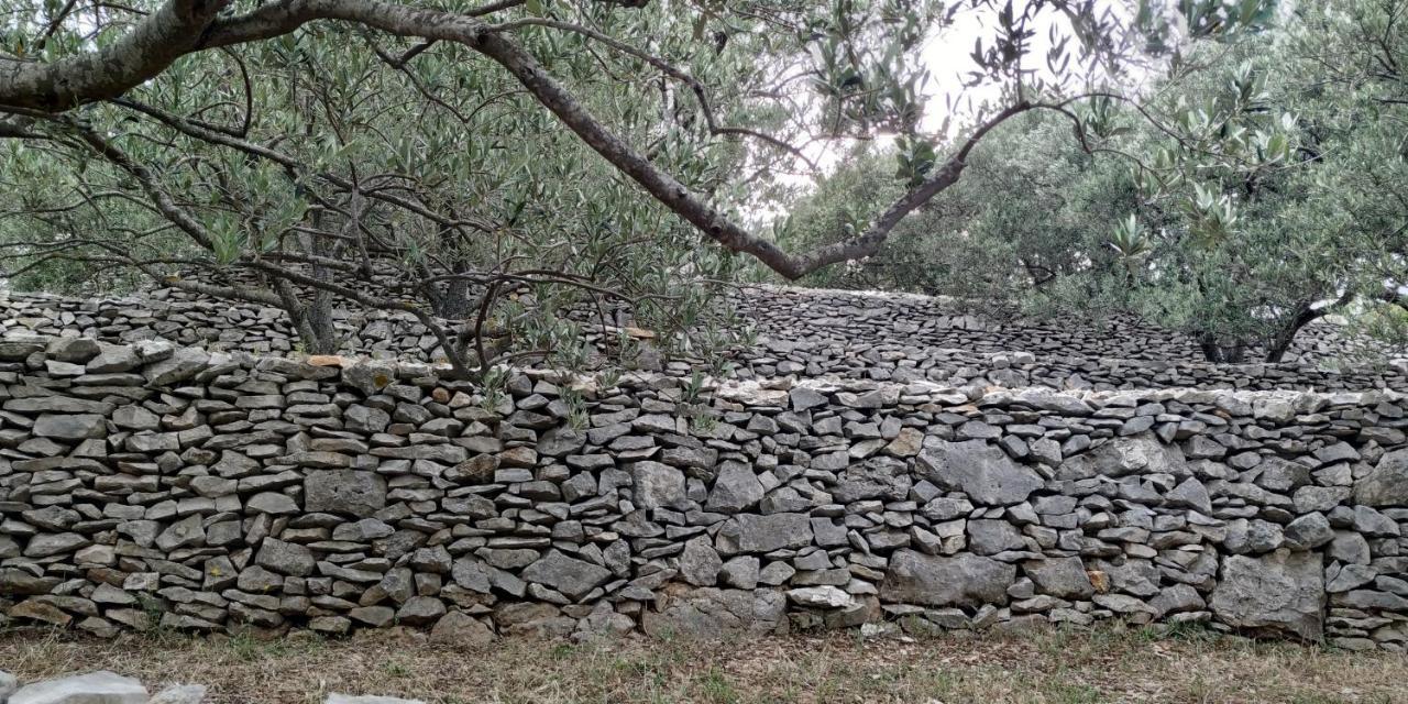 فيلا House On Punta فيلا لوكا المظهر الخارجي الصورة