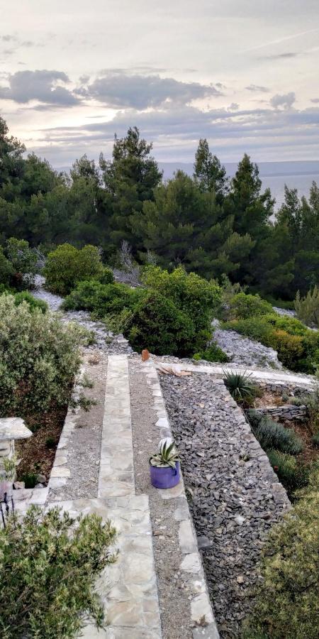 فيلا House On Punta فيلا لوكا المظهر الخارجي الصورة